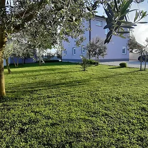  Ferienhaus Zeus